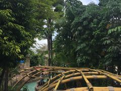 -新加坡水上探险乐园