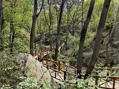 -大岭沟猕猴桃谷风景区