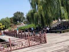 -绿堤公园