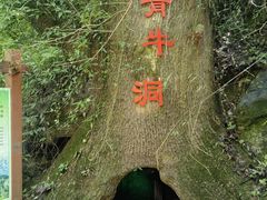 -老君洞旅游度假区