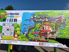 -西霞口神雕山野生动物世界