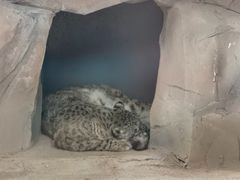 -青藏高原野生动物园