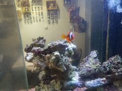 -K·Kitchen KK牛扒厨房(江南西店)