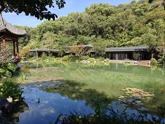 -云溪植物园