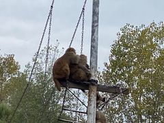 -西安秦岭野生动物园