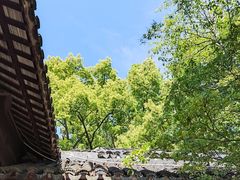 -苏州文庙(姑苏区)