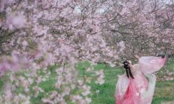 -虞美人古装摄影(汉服体验)