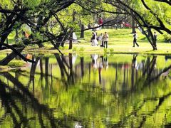 -上海共青森林公园