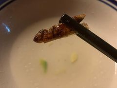 蚂蚱-缘生态云南菜·野生菌庭院餐厅(华侨城店)