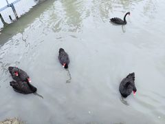 -琅岐红光湖公园