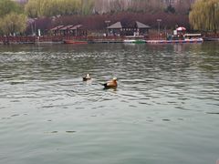 -河北省园博园