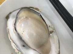 桑拿蚝-蚝专家(北滘店)