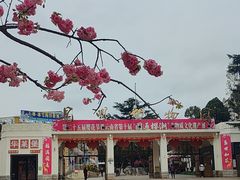 -昆明动物园