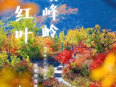 -周口店坡峰岭风景区