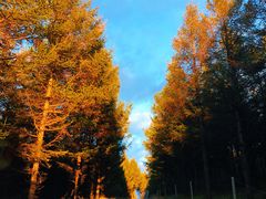 -草原天路(张北县)