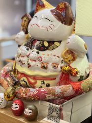 -一本X目奈子日式单根美睫专业店