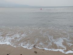 -杨梅坑