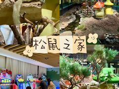 -佛冈森波拉度假区