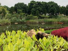 -映月湖公园