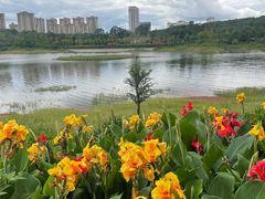 -安宁市宁湖森林公园