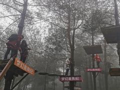 -梦幻奥陶纪景区