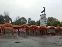 -成都动物园