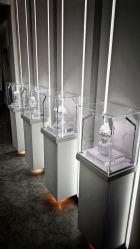 -索菲医疗整形美容