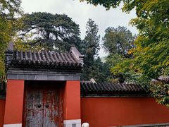 -国家植物园南园