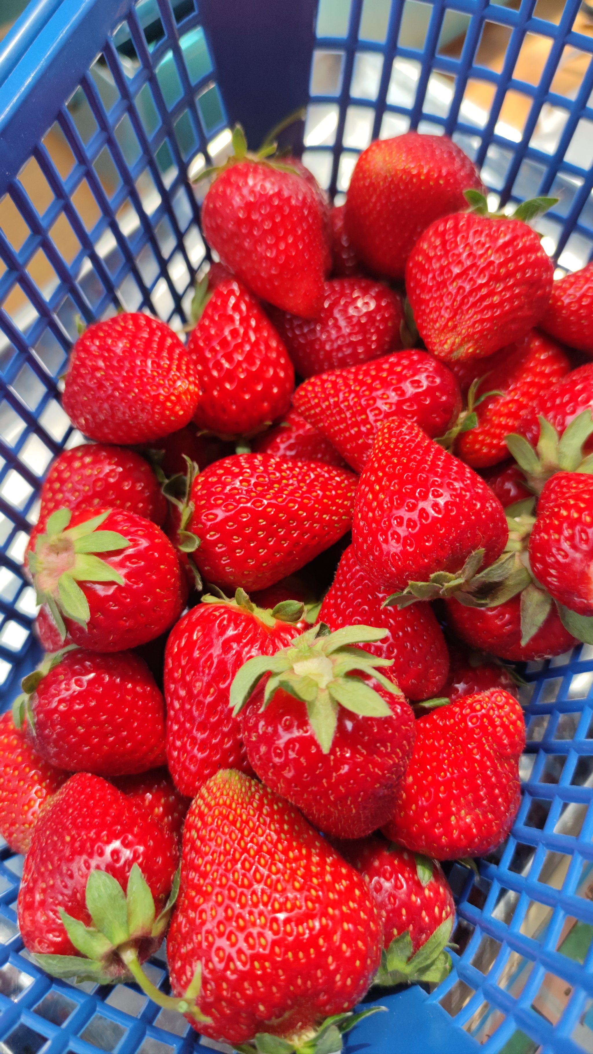 二刷沙朗空中草莓