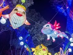 -武汉园博园(武汉自然博物馆)