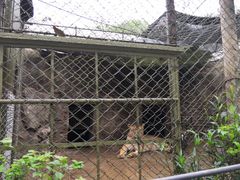 景点-海南热带野生动植物园