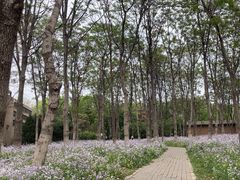 -将府公园