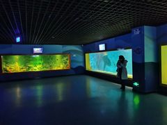 -秦皇岛新澳海底世界