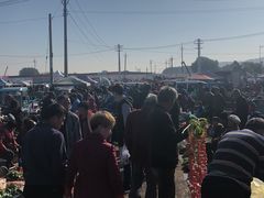 -蒲河大集