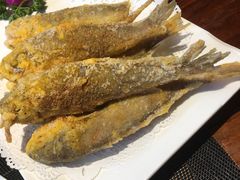 -沈家花园如皋菜(君御豪庭店)