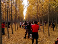 -汉景帝阳陵博物院