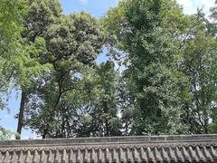 -宝光寺