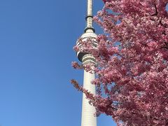 -龟山风景区-龟山电视塔