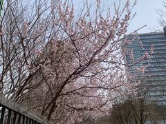 -新荟城(望京店)