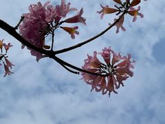 -上楼私房菜(院士路店)