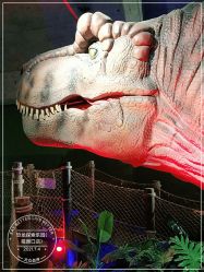 -恐龙探索乐园(磁器口店)