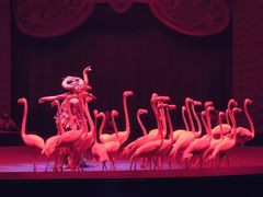 -珠海横琴长隆《卡卡虎奇遇记》