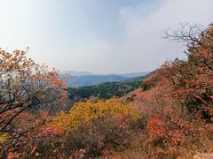 -北京西山国家森林公园