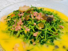 -阿英煲(凉城路店)