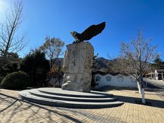 -北京鹫峰国家森林公园