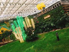 -凯德广场(学府店)