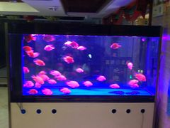 -重庆家富富侨养生会所全省示范店(东五路店)