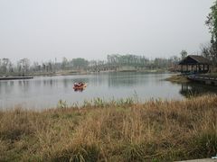 -白鹭湾湿地公园