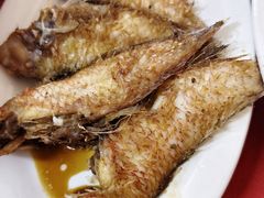 -蛇口康乐快餐鱼仔档(翠苑小区店)