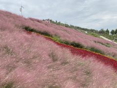 -沂蒙云瀑洞天景区